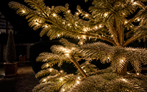 Guirlande Solaire de Noël : Bien la Choisir et la Poser