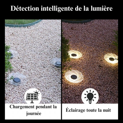 https://cdn.shopify.com/s/files/1/0271/8731/4772/files/Detectionintelligentedelalumiere_1.png?v=1714232843