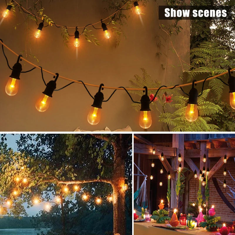 Détails de la guirlande solaire Edison 12 ampoules