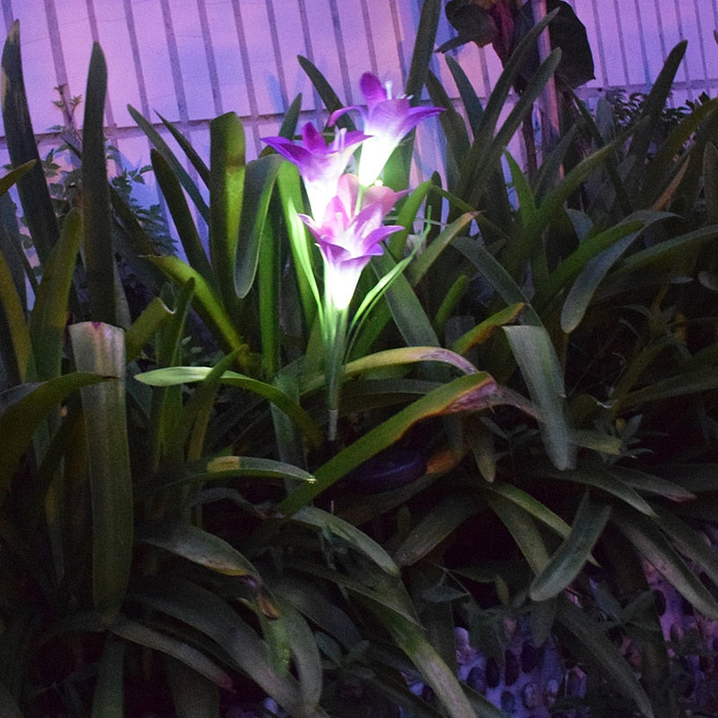 https://cdn.shopify.com/s/files/1/0271/8731/4772/products/Piquet_lumineux_solaire_2.jpg?v=1584822708