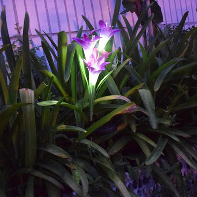 https://cdn.shopify.com/s/files/1/0271/8731/4772/products/Piquet_lumineux_solaire_2.jpg?v=1584822708