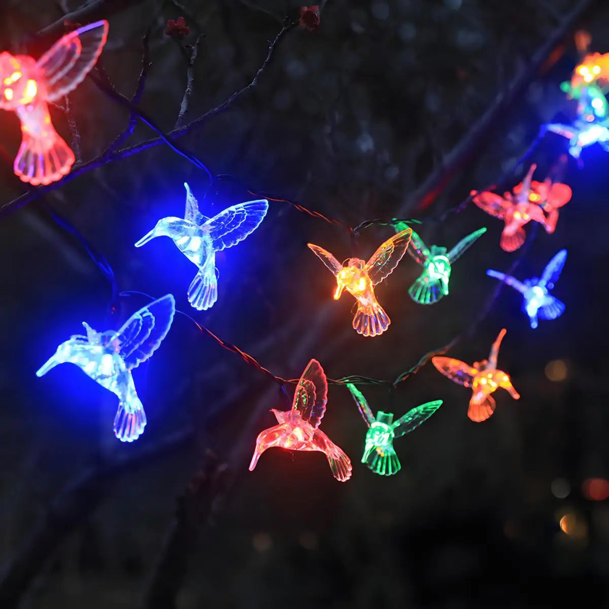 Guirlande Solaire Colibris 20 LED 8 Modes Étanche