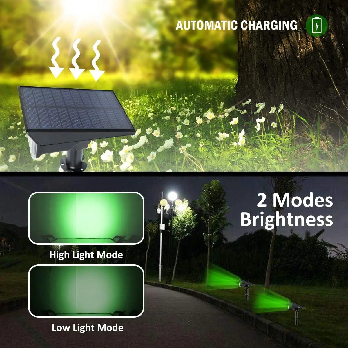 Panneau solaire du projecteur d'arbre LED