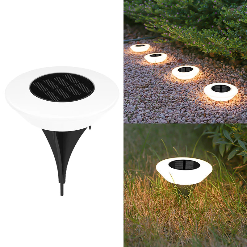 Lampe Solaire Pelouse 14 LED 360° Étanche Jardin Allée Camping