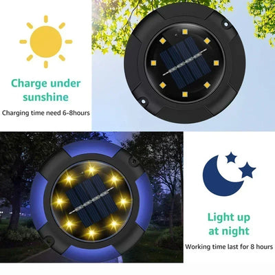 Lampe Solaire à Planter 12 LED Décorative Extérieur Cour Jardin