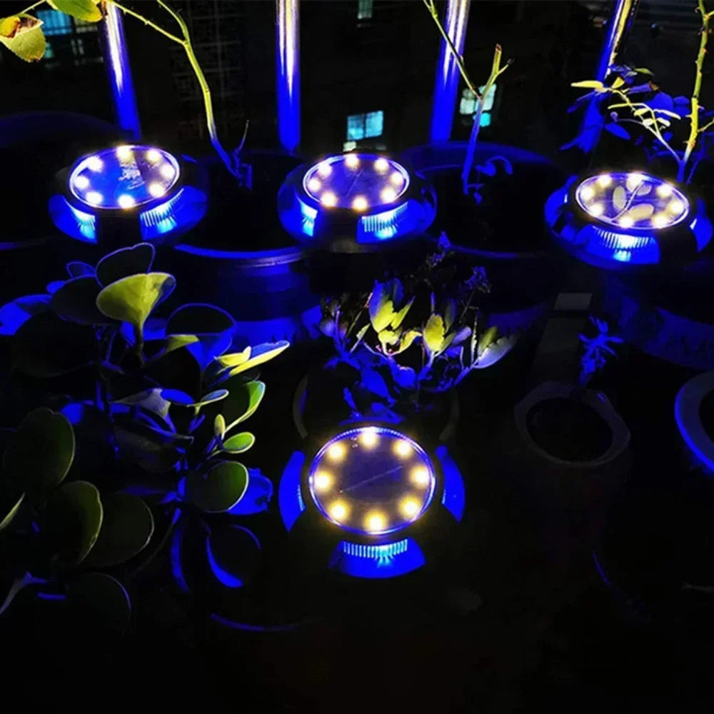 Lampe Solaire à Planter 12 LED Décorative Extérieur Cour Jardin