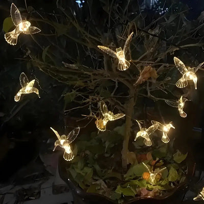 Guirlande Solaire Colibris 20 LED 8 Modes Étanche