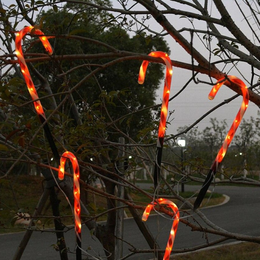 https://cdn.shopify.com/s/files/1/0271/8731/4772/products/Sucre-dOrge-Lumineux-Rouge-Blanc-0.jpg?v=1604974426
