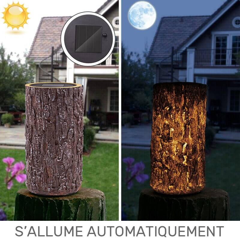 https://www.magic-solaire.com/wp-content/uploads/2020/06/borne-solaire-buche-jardin.jpg