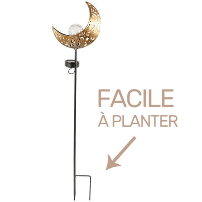 https://www.magic-solaire.com/wp-content/uploads/2020/03/lampe-solaire-lune-a-planter.jpg