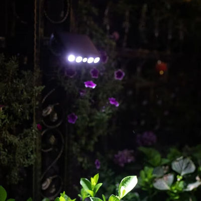 https://cdn.shopify.com/s/files/1/0271/8731/4772/files/petite-lampe-solaire-exterieur-5.jpg?v=1736826111