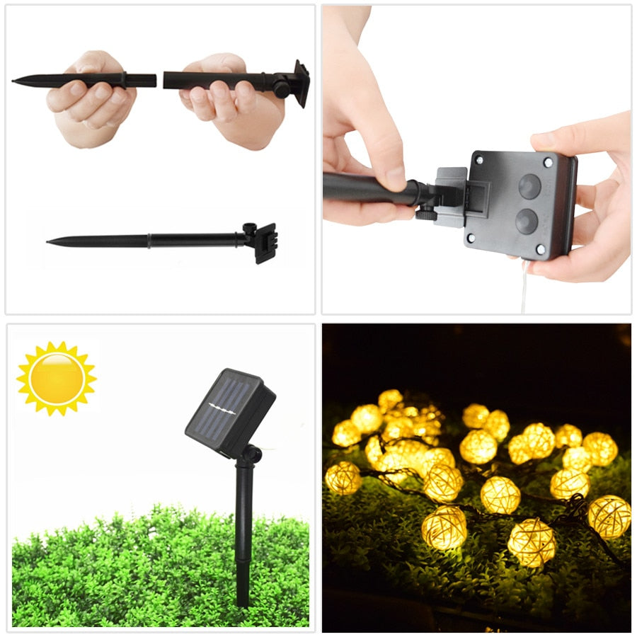 https://cdn.shopify.com/s/files/1/0271/8731/4772/products/product-image-1018437030.jpg?v=1584822434
