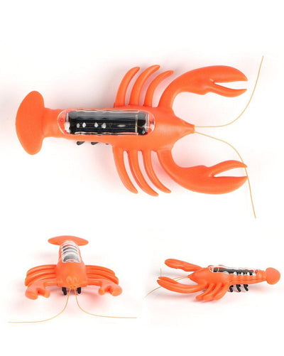 https://cdn.shopify.com/s/files/1/0271/8731/4772/products/product-image-1021620141.jpg?v=1584822318