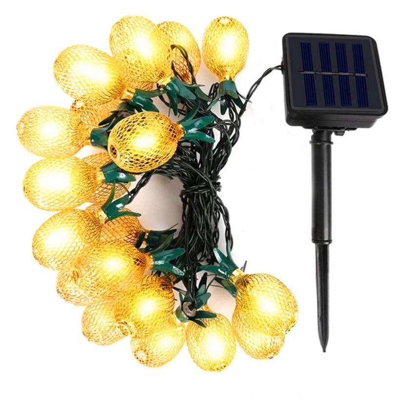 https://cdn.shopify.com/s/files/1/0271/8731/4772/products/product-image-1057432782.jpg?v=1584822378