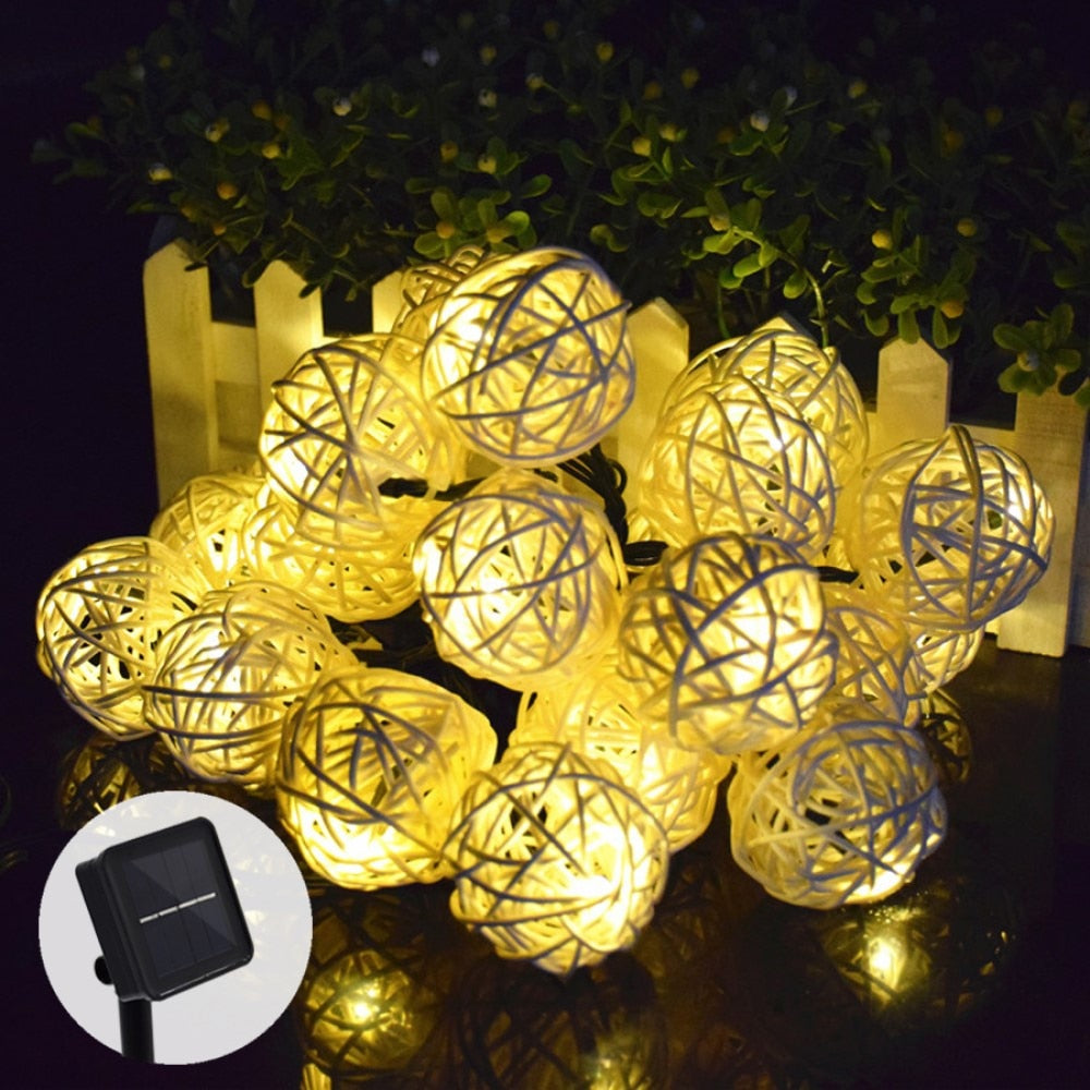 https://cdn.shopify.com/s/files/1/0271/8731/4772/products/product-image-1095065002.jpg?v=1584822434