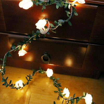 https://cdn.shopify.com/s/files/1/0271/8731/4772/products/product-image-1113481975.jpg?v=1603890474