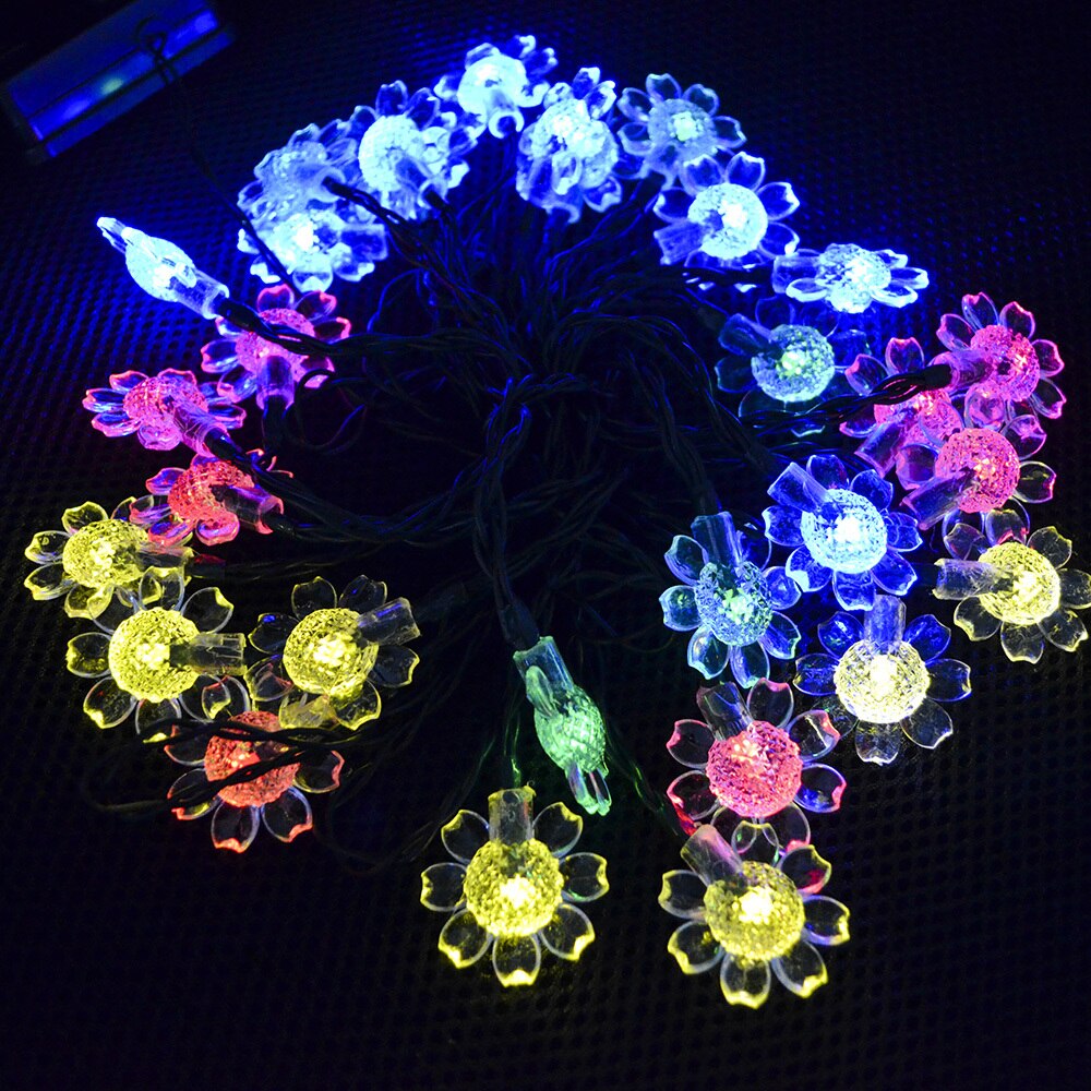 https://cdn.shopify.com/s/files/1/0271/8731/4772/products/product-image-1167139448.jpg?v=1584822446