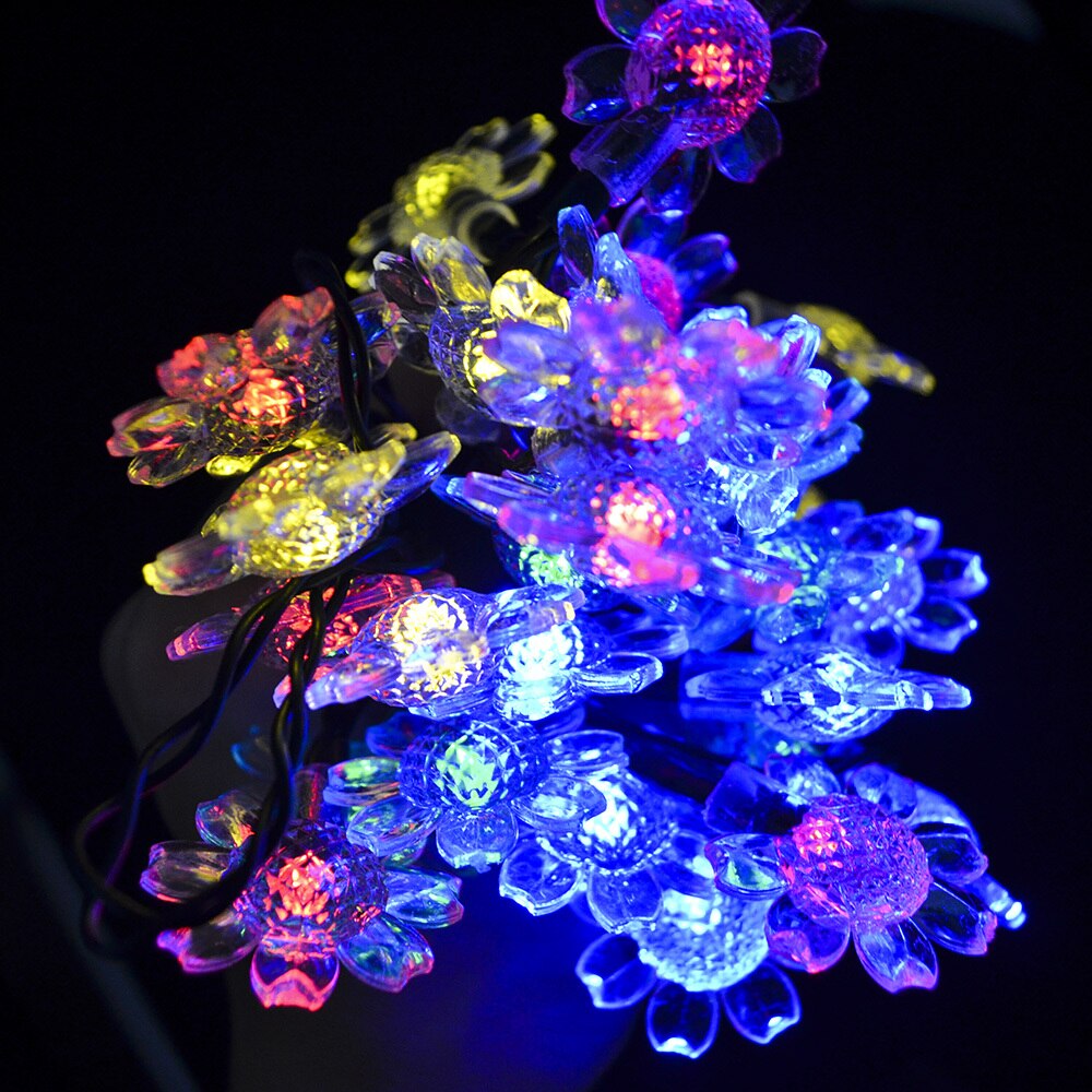 https://cdn.shopify.com/s/files/1/0271/8731/4772/products/product-image-1167139452.jpg?v=1584822447