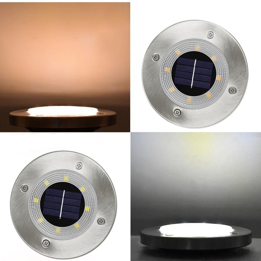https://cdn.shopify.com/s/files/1/0271/8731/4772/products/product-image-1174130967.jpg?v=1703130165