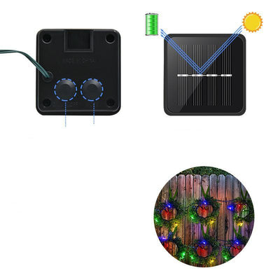 https://cdn.shopify.com/s/files/1/0271/8731/4772/products/product-image-1183104273.jpg?v=1584822381