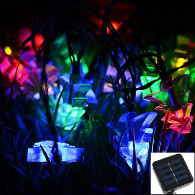 https://cdn.shopify.com/s/files/1/0271/8731/4772/products/product-image-1190178363.jpg?v=1584822411