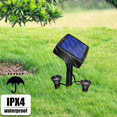 https://cdn.shopify.com/s/files/1/0271/8731/4772/products/product-image-1453525508.jpg?v=1593534050