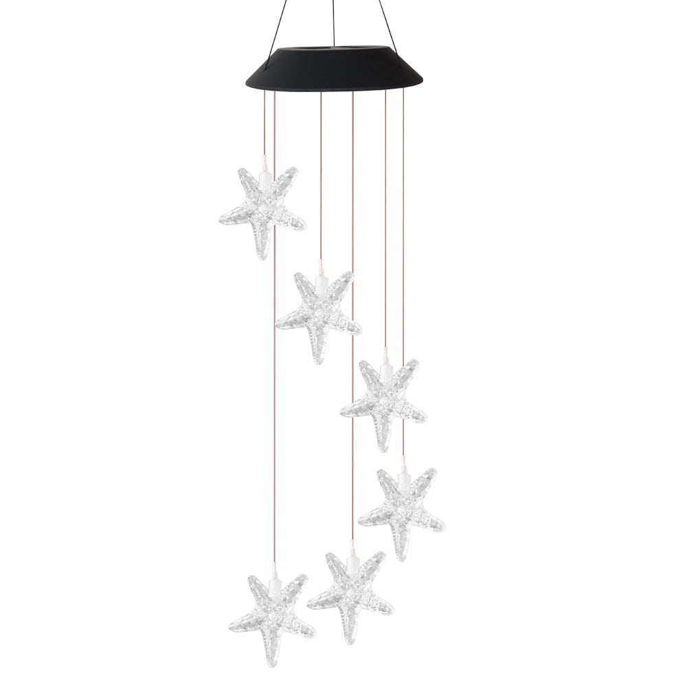 https://cdn.shopify.com/s/files/1/0271/8731/4772/products/product-image-1479715502.jpg?v=1600352054