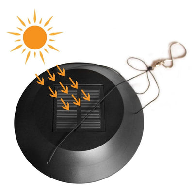 https://cdn.shopify.com/s/files/1/0271/8731/4772/products/product-image-1479715504.jpg?v=1600352165
