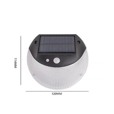 https://cdn.shopify.com/s/files/1/0271/8731/4772/products/product-image-1506723781.jpg?v=1677592925