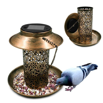 https://cdn.shopify.com/s/files/1/0271/8731/4772/products/product-image-1546644749.jpg?v=1611761179