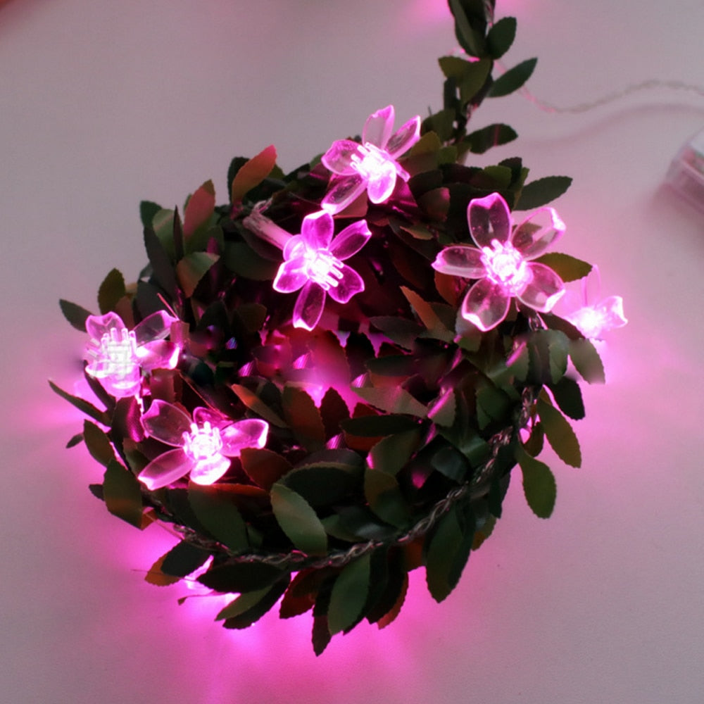 https://cdn.shopify.com/s/files/1/0271/8731/4772/products/product-image-1591044511.jpg?v=1603890465