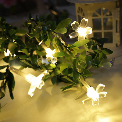 https://cdn.shopify.com/s/files/1/0271/8731/4772/products/product-image-1591044514.jpg?v=1603890465