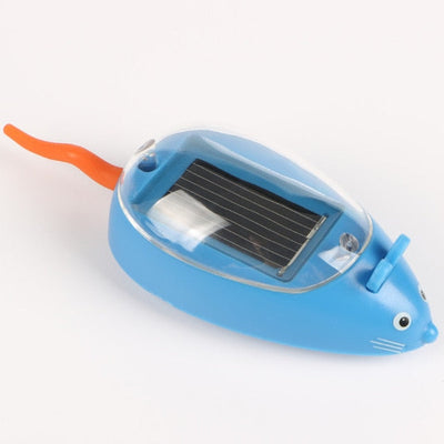 https://cdn.shopify.com/s/files/1/0271/8731/4772/products/product-image-431442462.jpg?v=1584822320