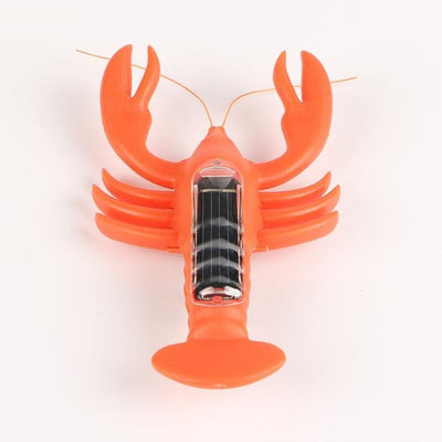 https://cdn.shopify.com/s/files/1/0271/8731/4772/products/product-image-431442465.jpg?v=1584822318