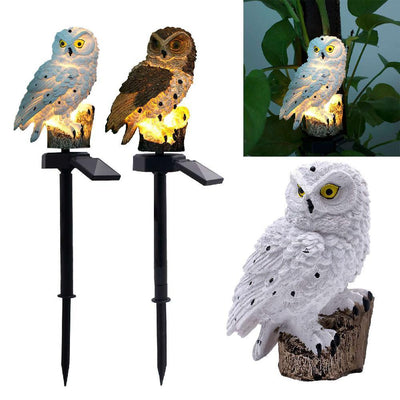 https://cdn.shopify.com/s/files/1/0271/8731/4772/products/product-image-947413344.jpg?v=1584822262