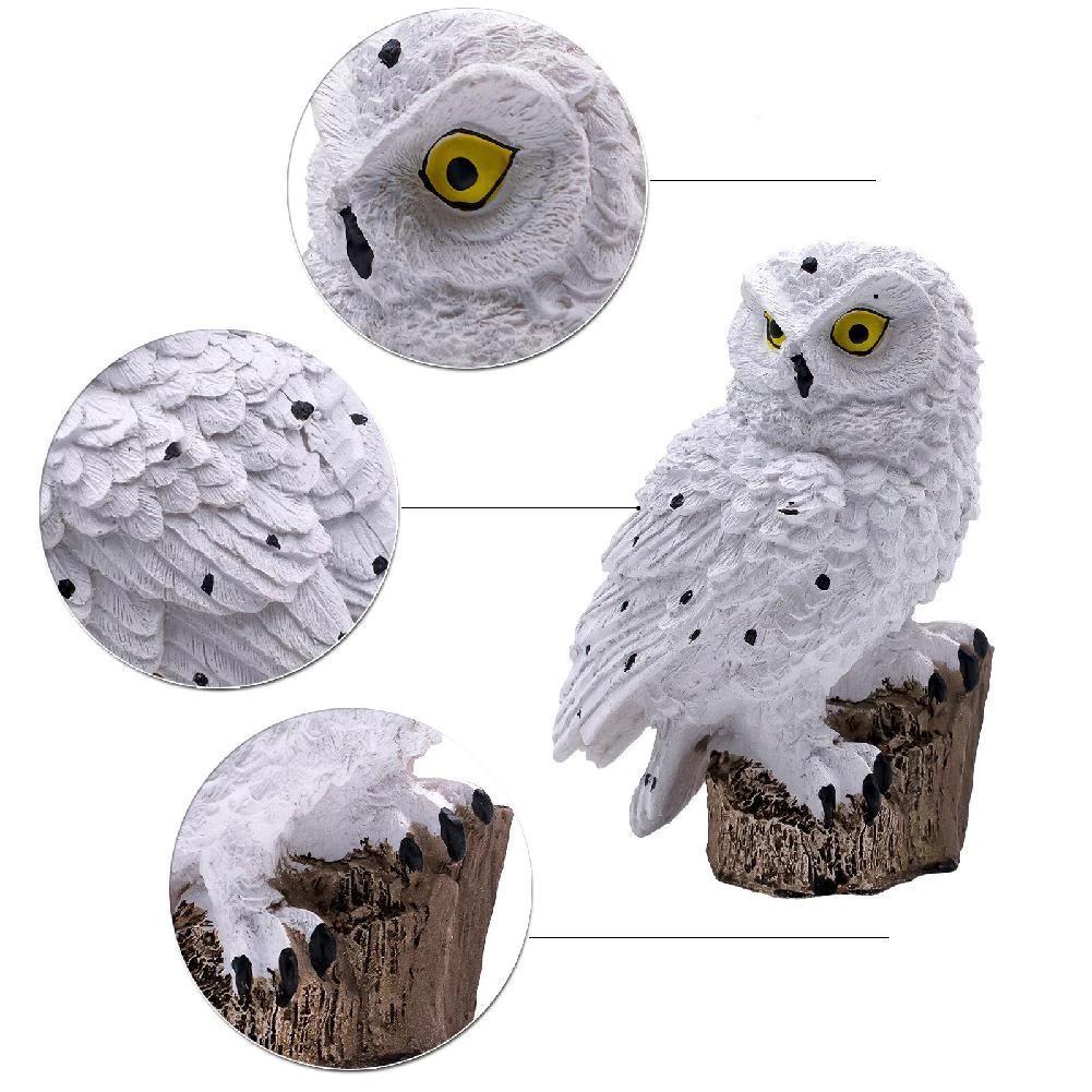 https://cdn.shopify.com/s/files/1/0271/8731/4772/products/product-image-947413345.jpg?v=1584822262