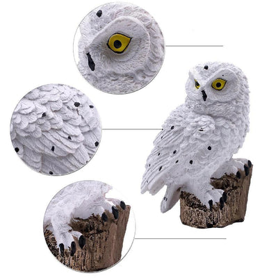 https://cdn.shopify.com/s/files/1/0271/8731/4772/products/product-image-947413345.jpg?v=1584822262