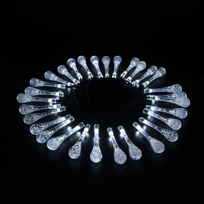 https://cdn.shopify.com/s/files/1/0271/8731/4772/products/8979037426445.jpg?v=1584822349