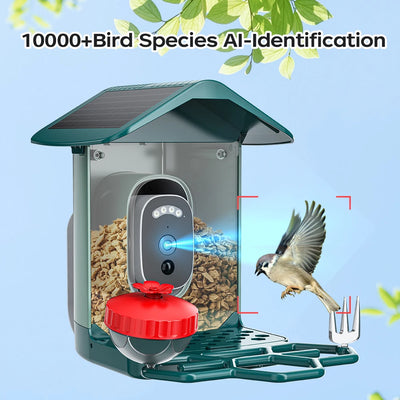 Caméra Solaire pour Mangeoire à Oiseaux 5MP WiFi IA IP66