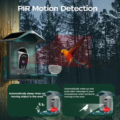 Caméra Solaire pour Mangeoire à Oiseaux 5MP WiFi IA IP66
