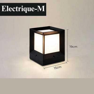 https://cdn.shopify.com/s/files/1/0271/8731/4772/files/Electrique-M.png?v=1712985354