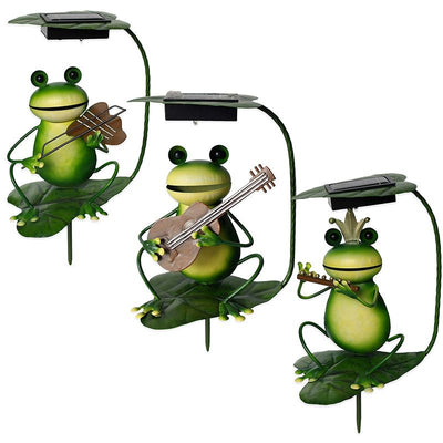 https://cdn.shopify.com/s/files/1/0271/8731/4772/files/Grenouillesolaire0.jpg?v=1706496627