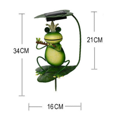 https://cdn.shopify.com/s/files/1/0271/8731/4772/files/Grenouillesolaire1.jpg?v=1706496627