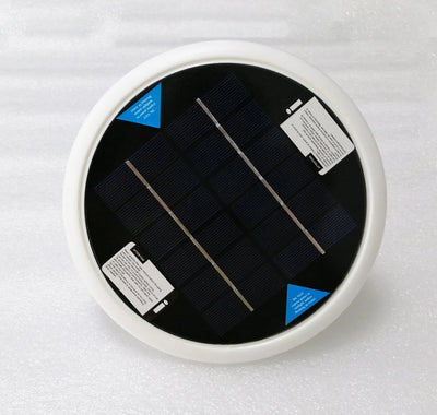 Purificateur Ioniseur Solaire Piscine Anti-Algues Eau Claire