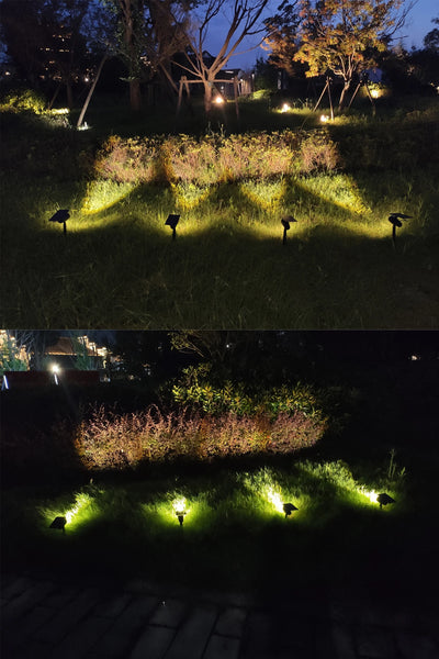 Projecteur Solaire Étanche Extérieur 2 Modes Veilleuse Décoration Jardin