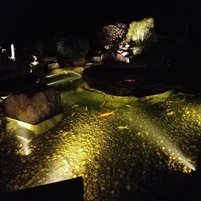 Projecteur Solaire Submersible Étang IP68 Lampe Paysage Jardin