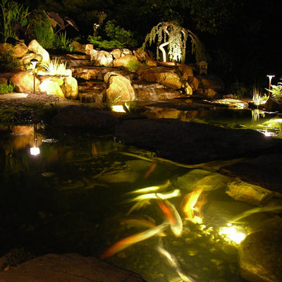 Projecteur Solaire Sous-Marin LED pour Étang et Fontaine