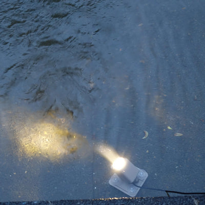 Projecteur Solaire Sous-Marin LED pour Étang et Fontaine