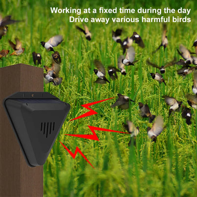 Répulsif Solaire Oiseaux à Minuteur 13 Sons IP55