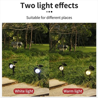 Projecteur Solaire LED Extérieur à Planter pour Pelouse, Cour et Arbre